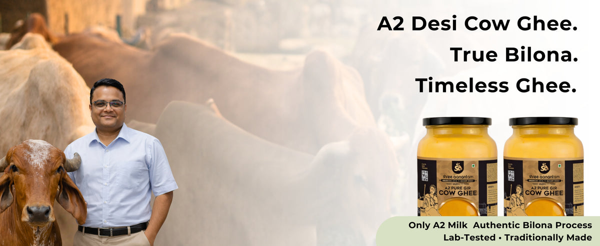 A2 Gir Cow Desi Ghee | Made with Vedic Bilona Method | Hand churned | Pure, Healthy and Natural | Grass Fed Cows | Glass Jar