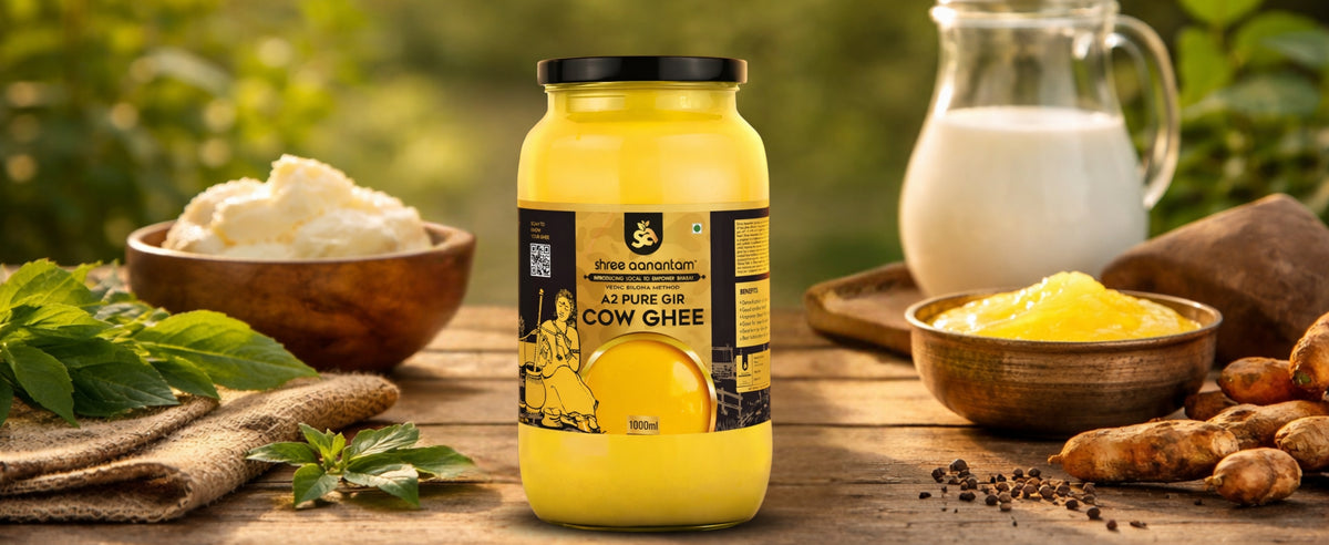 A2 Gir Cow Desi Ghee | Made with Vedic Bilona Method | Hand churned | Pure, Healthy and Natural | Grass Fed Cows | Glass Jar