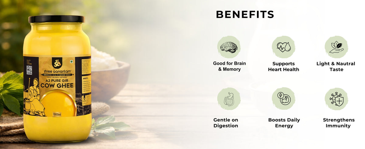 A2 Gir Cow Desi Ghee | Made with Vedic Bilona Method | Hand churned | Pure, Healthy and Natural | Grass Fed Cows | Glass Jar