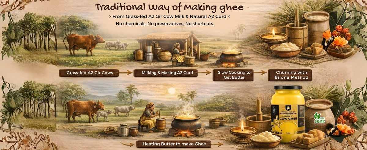 A2 Gir Cow Desi Ghee | Made with Vedic Bilona Method | Hand churned | Pure, Healthy and Natural | Grass Fed Cows | Glass Jar
