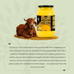 A2 Gir Cow Desi Ghee | Made with Vedic Bilona Method | Hand churned | Pure, Healthy and Natural | Grass Fed Cows | Glass Jar