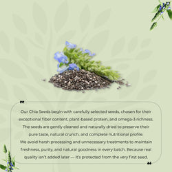 Organic Chia Seeds Premium Quality