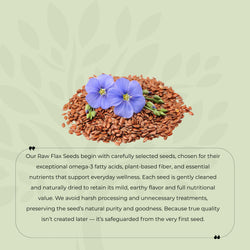 Roasted Flax Seeds AAA Grade Quality