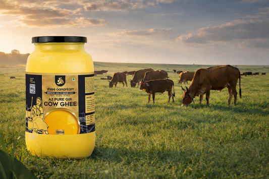 A2 Gir Cow Desi Ghee | Made with Vedic Bilona Method | Hand churned | Pure, Healthy and Natural | Grass Fed Cows | Glass Jar